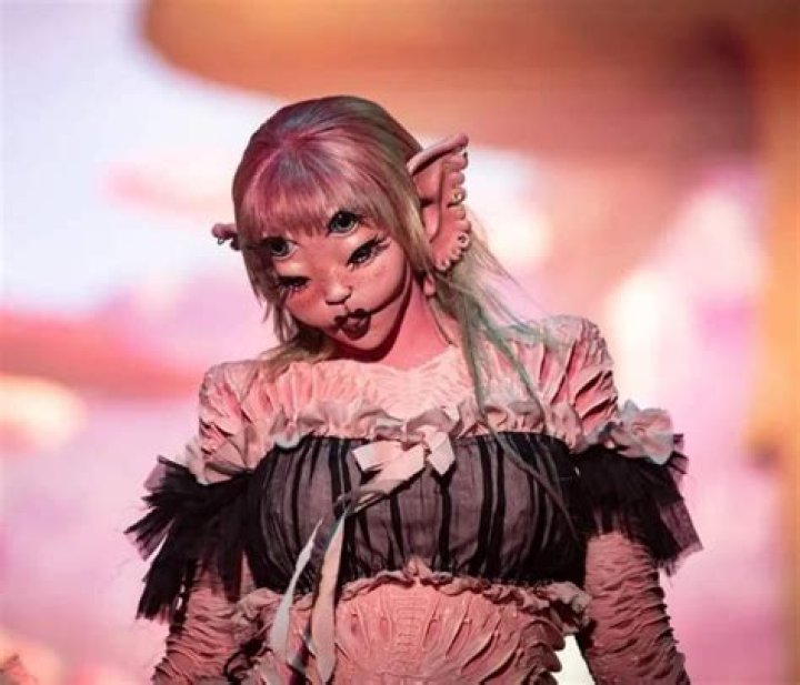 Dan Balan Lubita Accident: Was He Drunk Or Drugged At A Concert? Video Viral