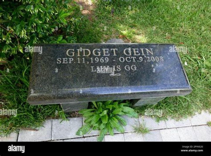 Gidget Gein