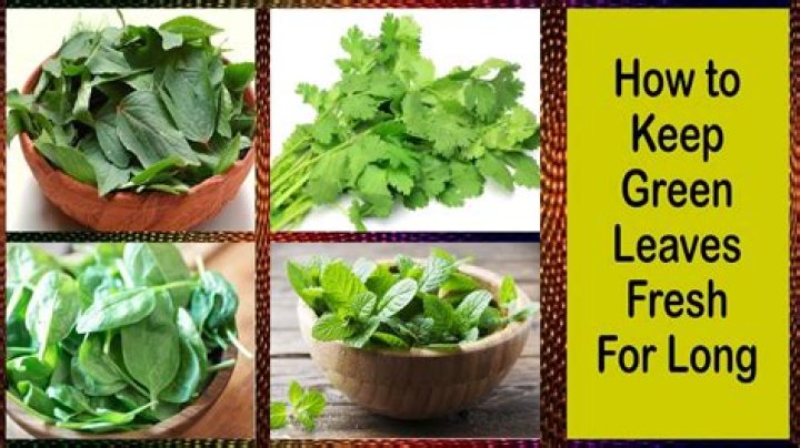 How to preserve green leaves