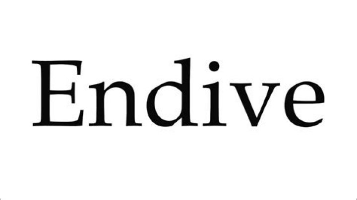 How to pronounce endive