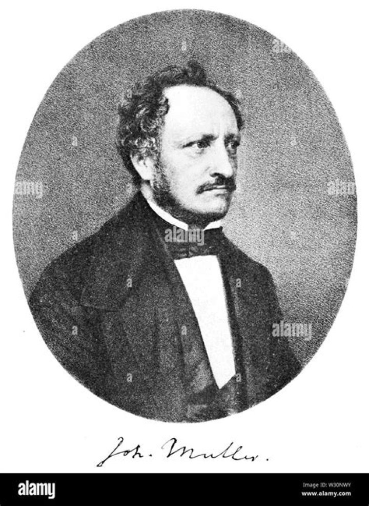 John Muller