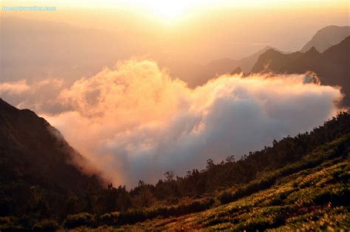 Kolukkumalai Mountain Hut, Bodinayakkanur, India