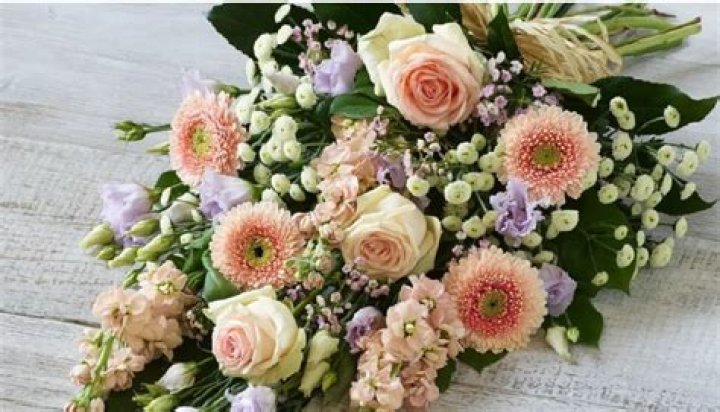 Max Verbeek Accident Linked To Death Cause