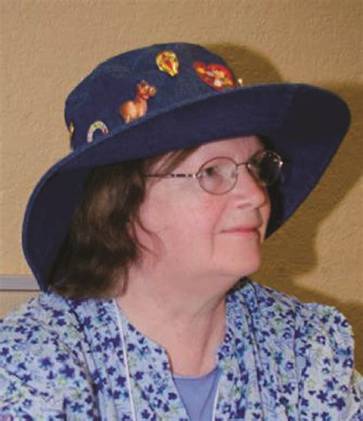 Nancy Springer