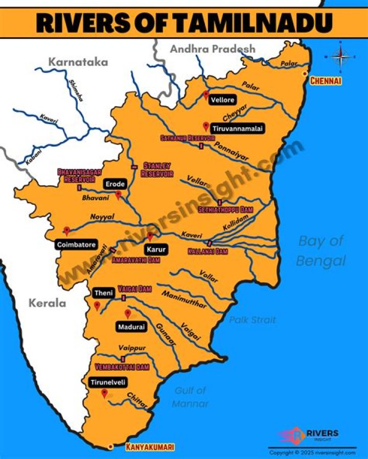 What is Celine Gounder’s ethnicity? Her European and Indian connections