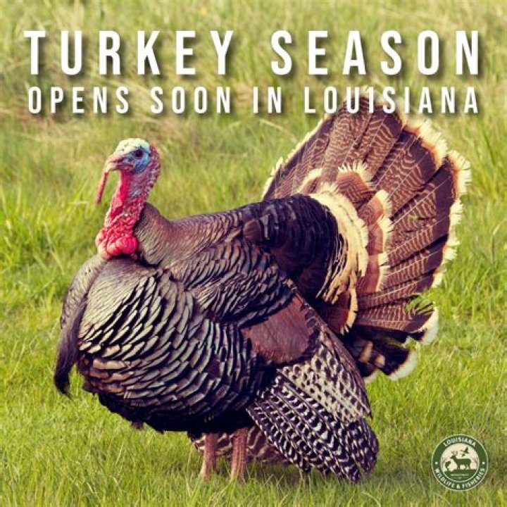 When does turkey season start in alabama