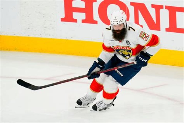 Who Is Radko Gudas Sister? Karolina Gudasová Biography Details Explored