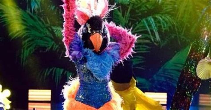 Who is the exotic bird on the masked dancer